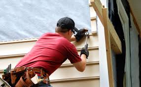 Best Shed Removal  in Rehoboth Beach, DE